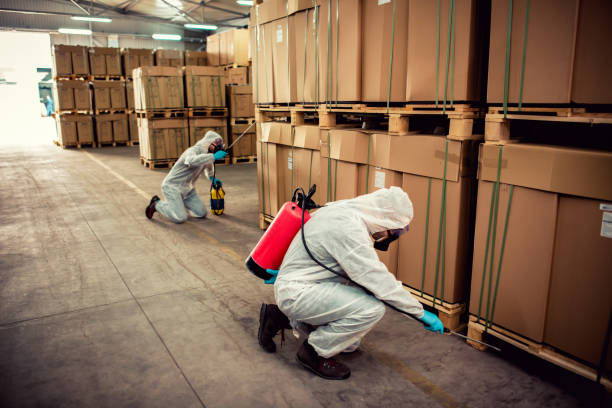 Best Wasp Removal Services  in Lake Caroline, VA
