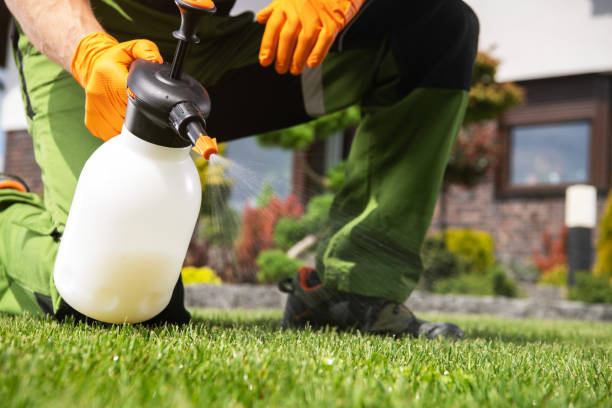 Best Local Pest Control Services  in Lake Caroline, VA