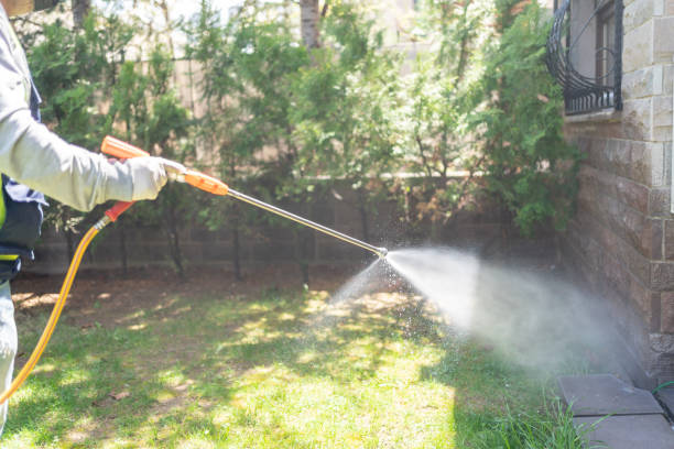 Best Flea Control Services  in Lake Caroline, VA