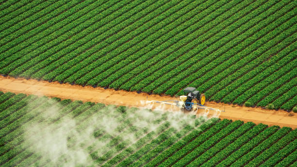 Best Commercial Pest Control Services  in Lake Caroline, VA
