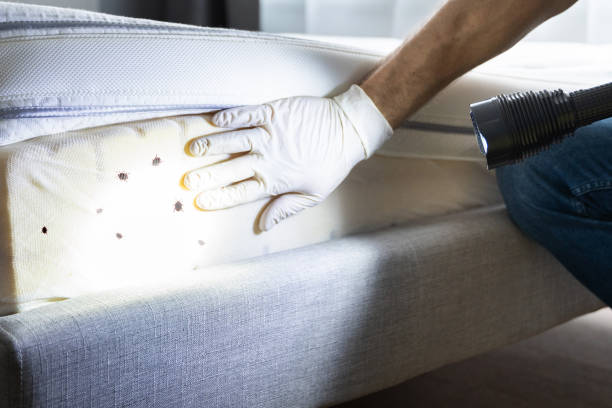 Best Best Pest Control Companies  in Lake Caroline, VA