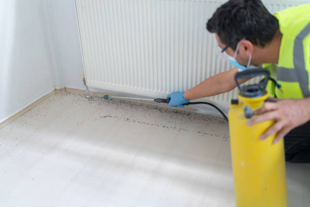 Best Mosquito Control Services  in Lake Caroline, VA