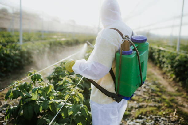 Best Termite Control Services  in Lake Caroline, VA